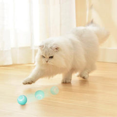 Smart Cat Ball Toys